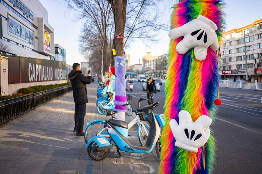 12月9日，市民在呼和浩特市玉泉區(qū)凱德廣場(chǎng)打卡“穿”毛衣的大樹(shù)。丁根厚攝