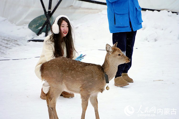 游客體驗冰雪那達慕。人民網(wǎng)記者 趙夢月攝