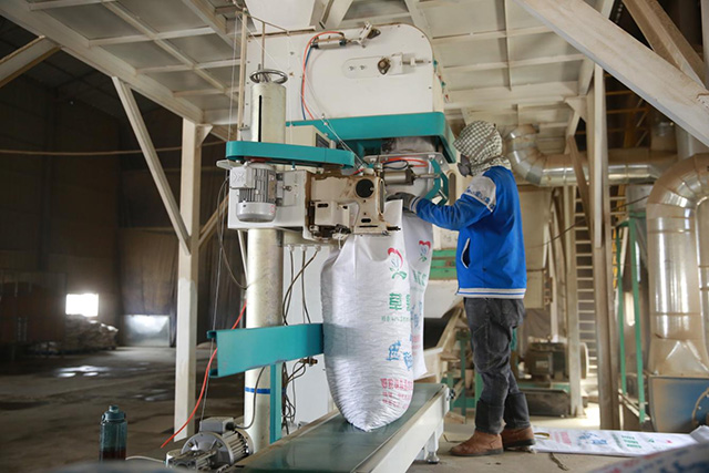 飼料加工廠建設(shè)。