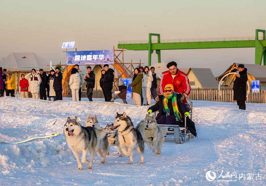 游客在第四屆呼和浩特歡樂冰雪節(jié)活動現(xiàn)場體驗狗拉雪橇項目。丁根厚攝