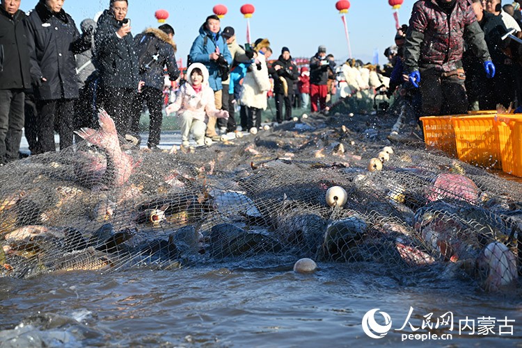 魚躍出水面。 實習生 李子薈攝