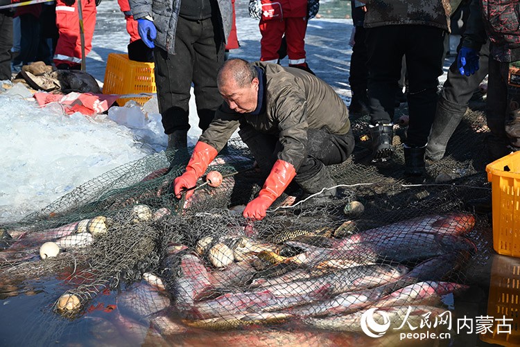 捕魚隊員正在整理漁網(wǎng)。 實習生 李子薈攝